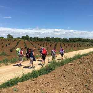 Via Francigena san quirico d' orcia