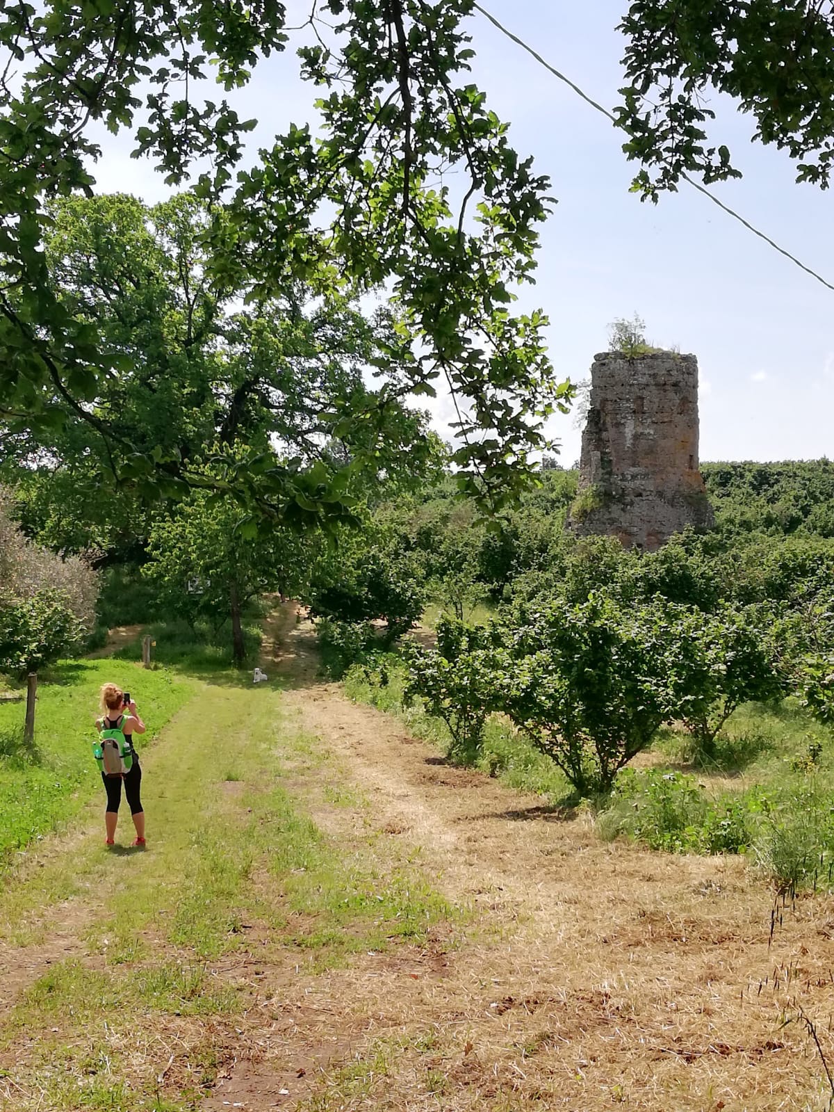 Via Francigena Vetralla - La Storta