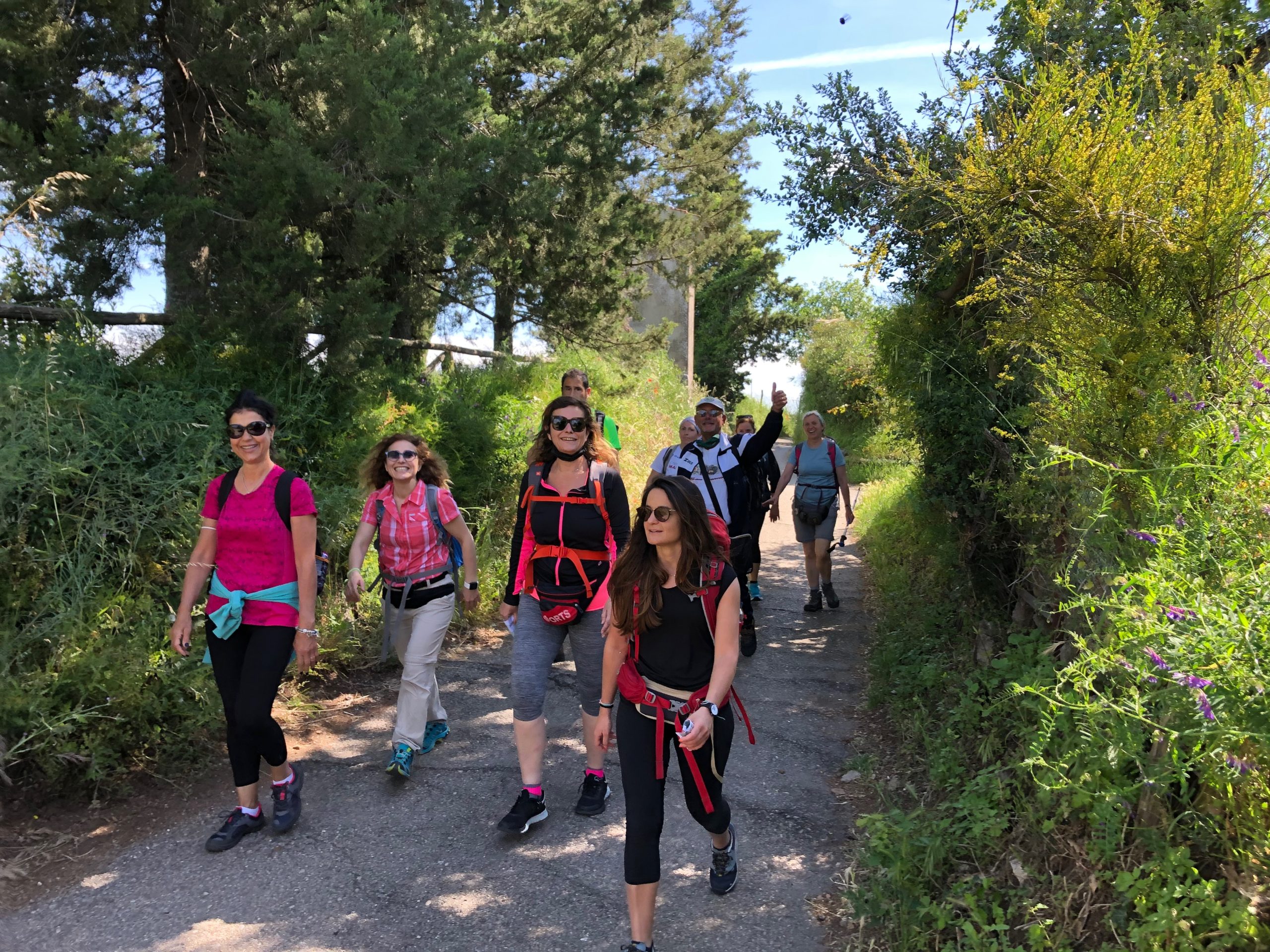 Via Francigena Viterbo Roma