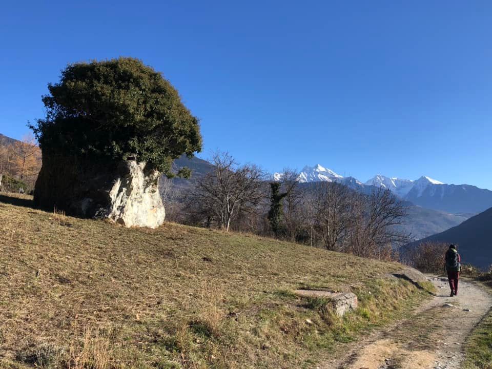 gran san bernardo ivrea